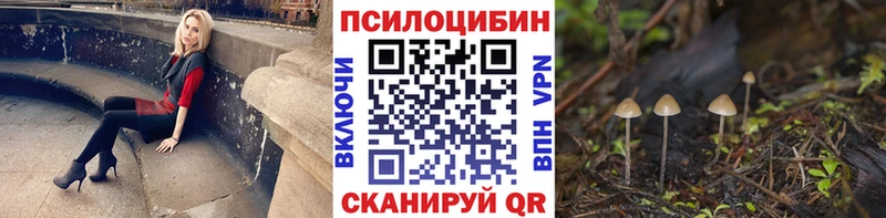 Галлюциногенные грибы ЛСД блэк спрут зеркало Бологое